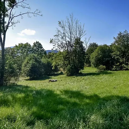 Domek Na Groniku Zubrzyca Gorna Exteriér fotografie